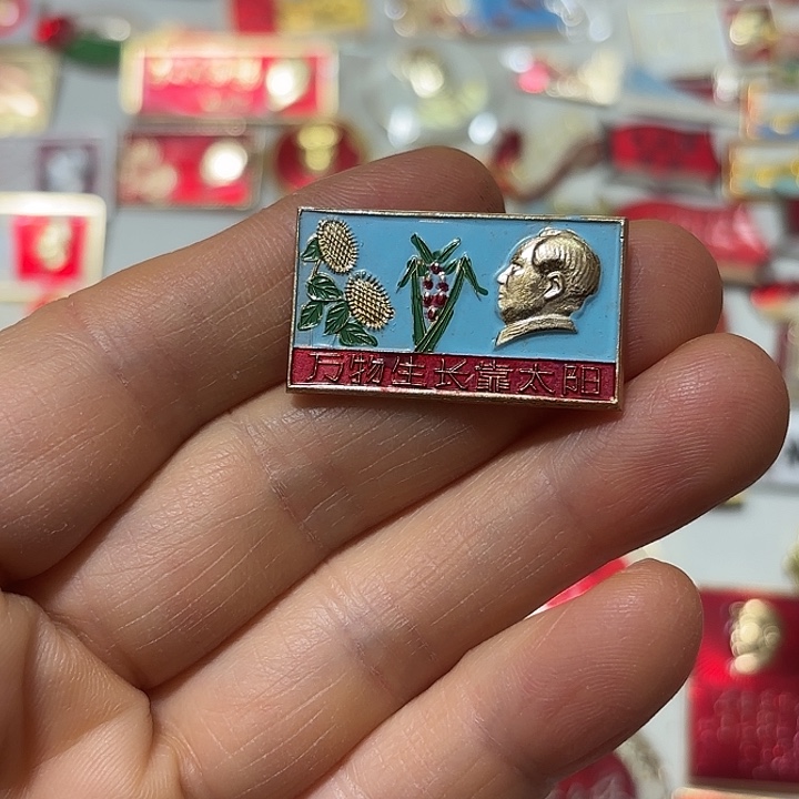 在***济其他普通金属纪念章