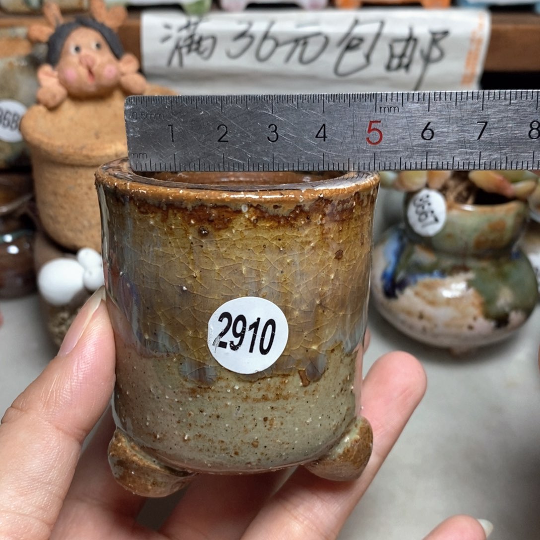 拍5送一个小礼物