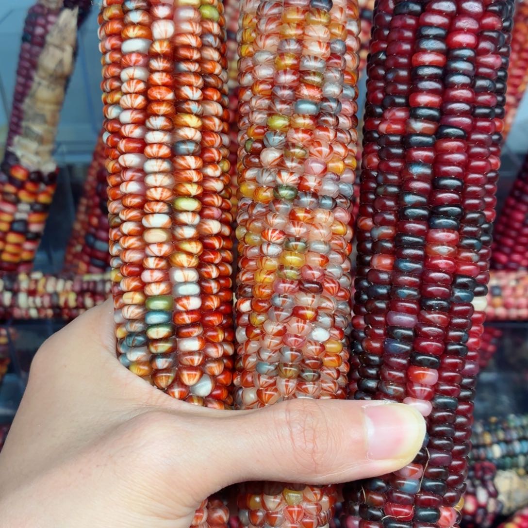 艾***雨吊坠白玉菩提文玩精品文玩精品