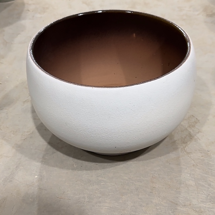 高度19口27啦啦啦啦