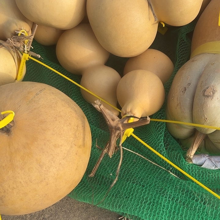 文玩葫芦零元起拍