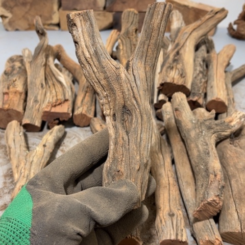 大果紫檀（缅甸花梨）?****