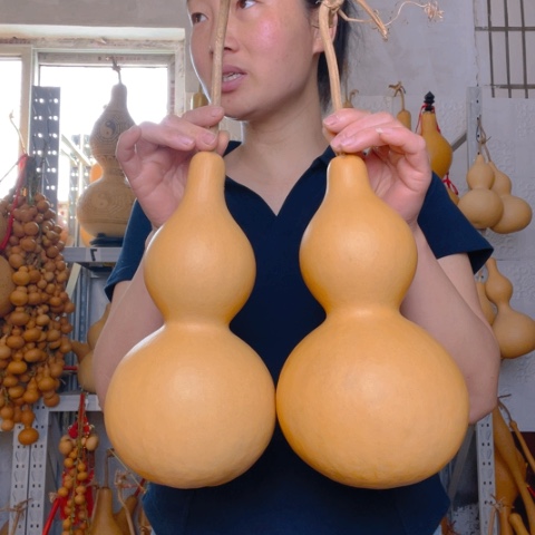 天然植物葫芦文玩