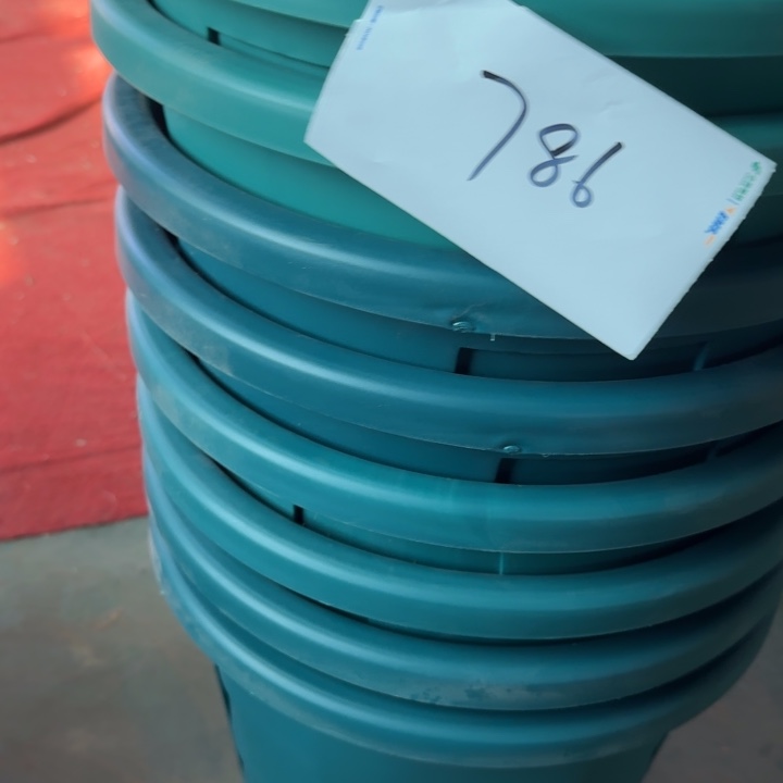 编号786-4个微瑕