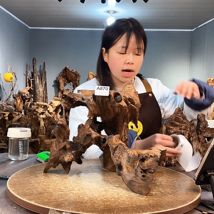 茶盏为****省870株木随行的小根艺