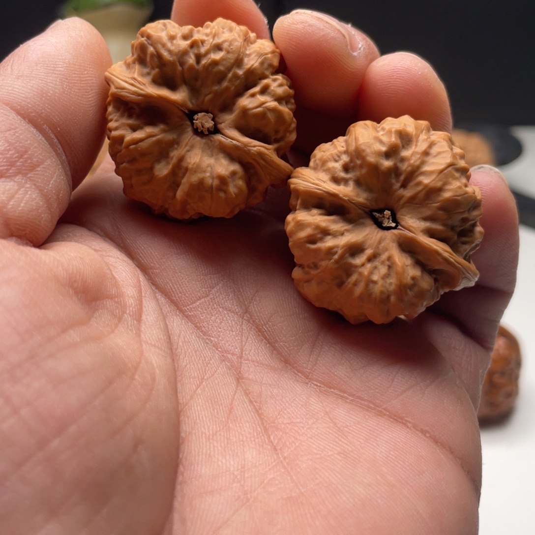 W***ᐝ核桃蛤蟆头核桃 36