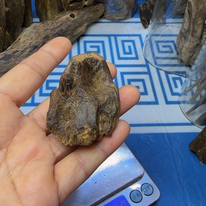 木母树紫奇包头12克