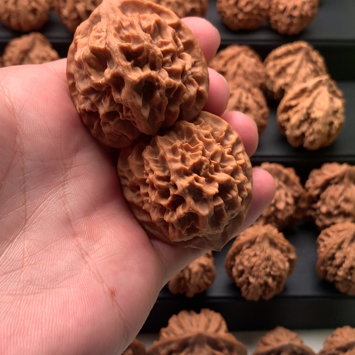 其他核桃秦岭的一个大