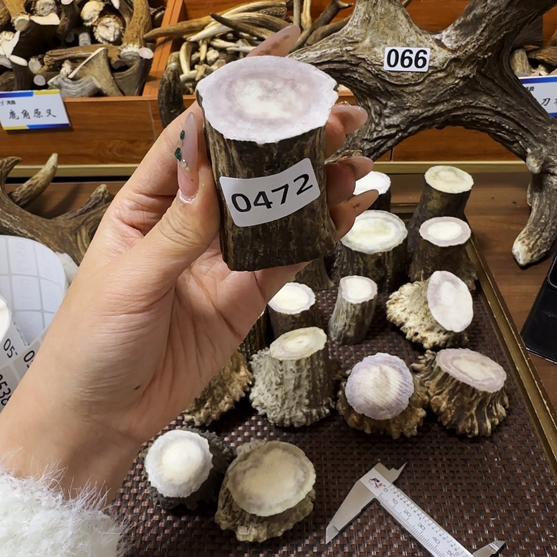 手串/手链鹿骨0472根段