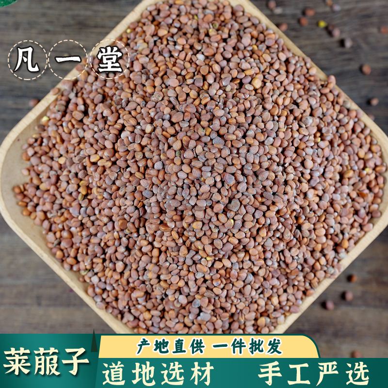 芥子 生莱服子萝卜籽白萝卜莱菔子