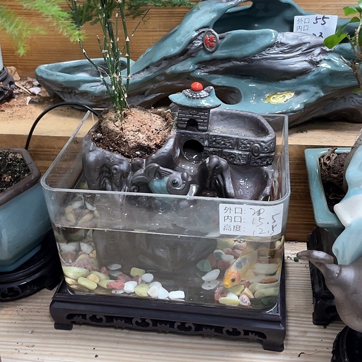 陶瓷花盆抢购福利