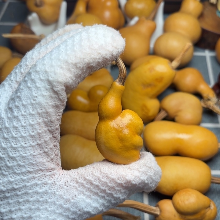 一***好葫芦裂6666666666666