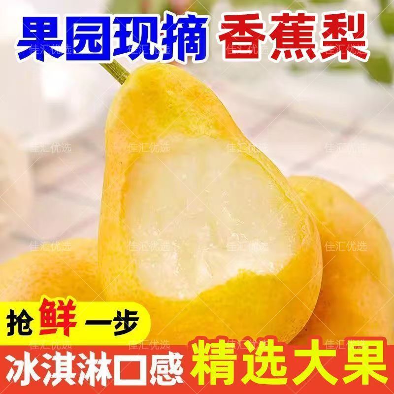 甘肃天水香蕉梨新鲜当季水果软糯香甜多汁皮薄肉厚核小