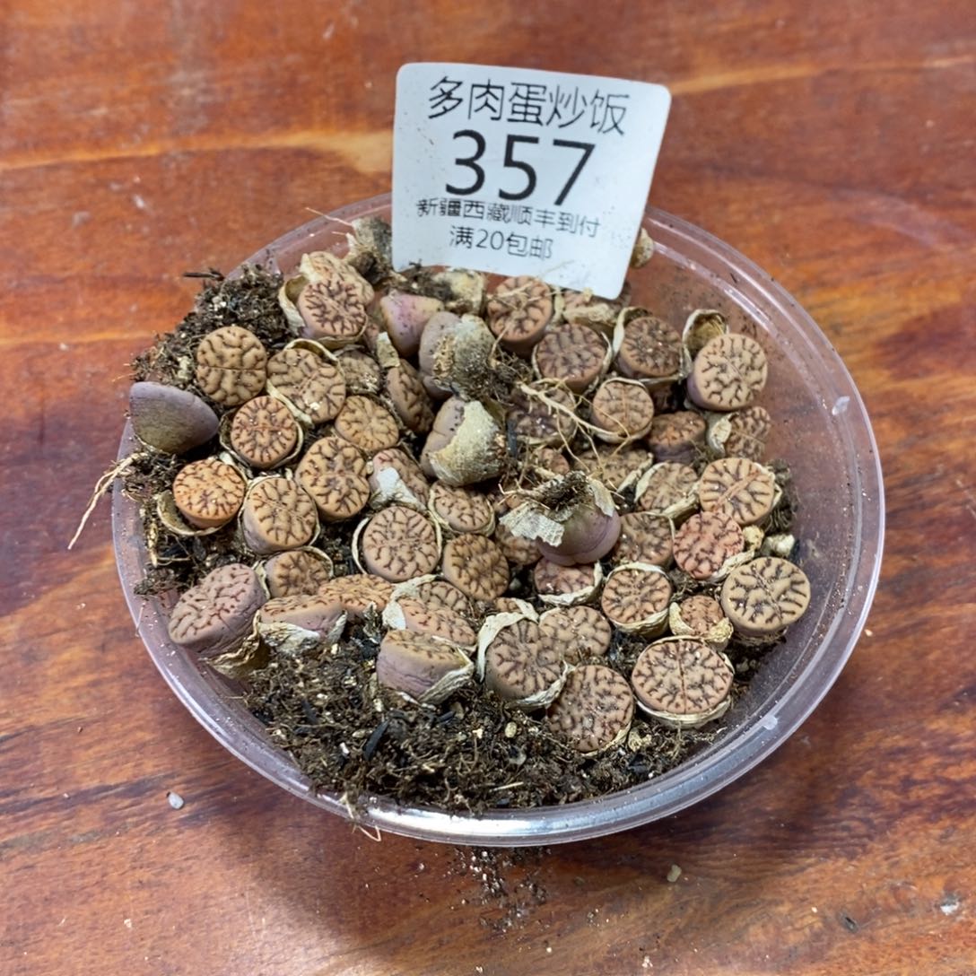 多肉蛋炒饭，感谢您相伴357
