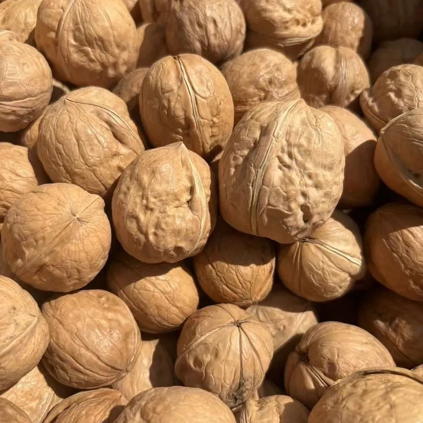 正宗新疆薄皮核桃】买1送1共1000g好核桃多规格干果坚果零食批发