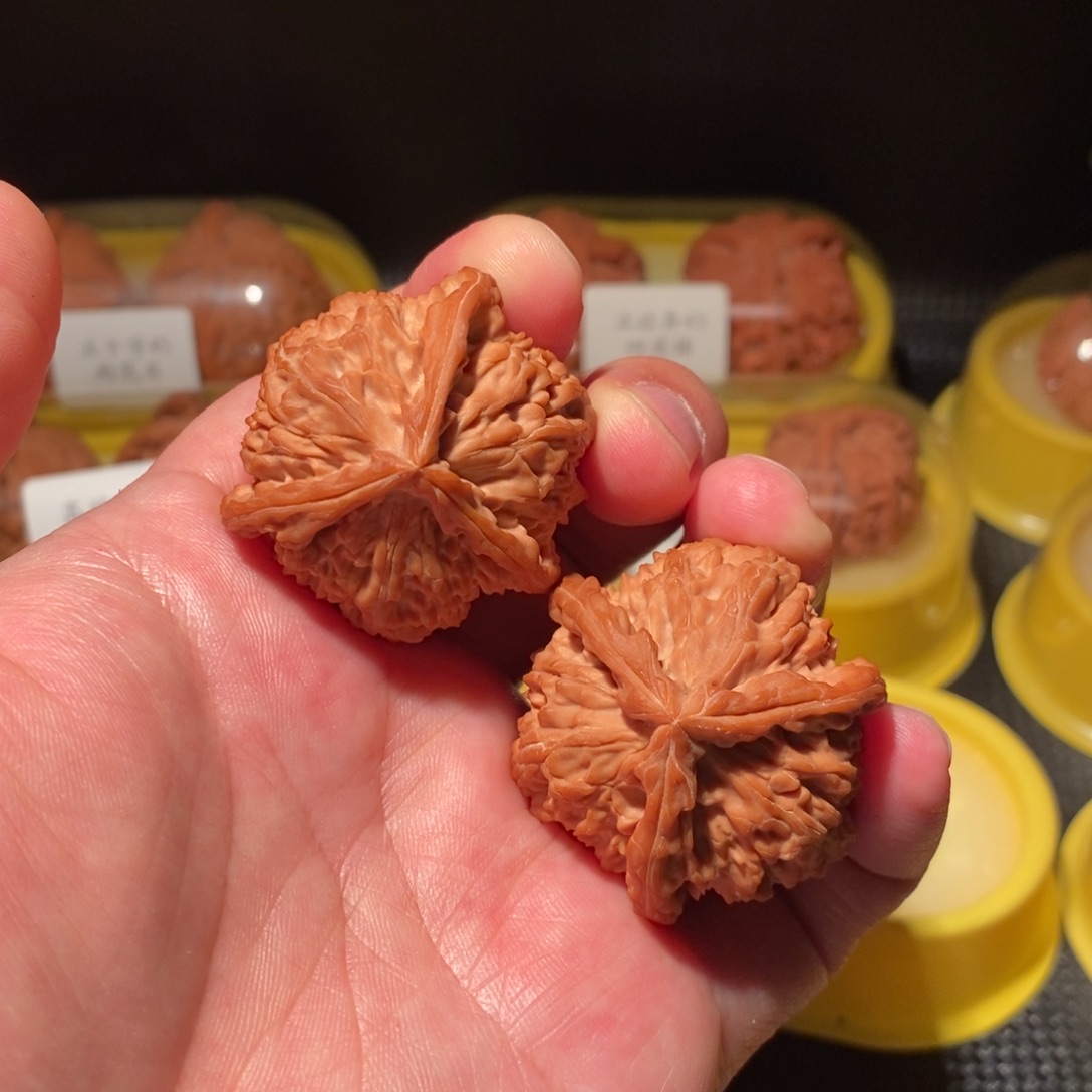 放***走40白狮子正球奔精品对