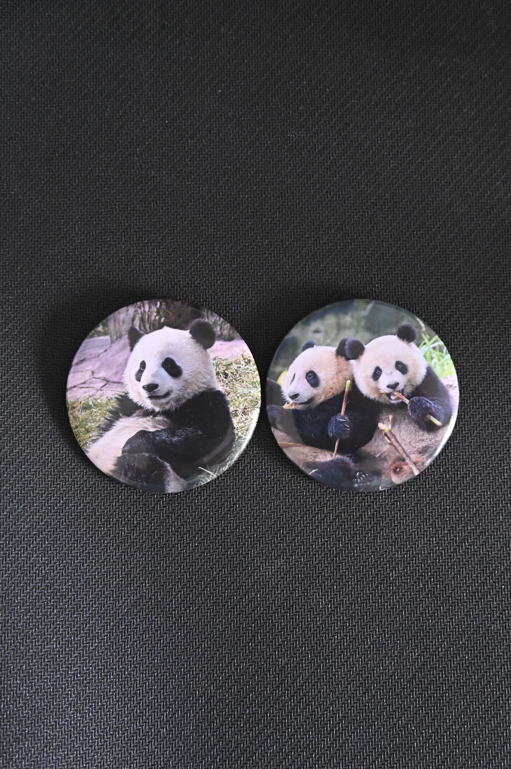 熊猫贤崽半斤八两58mm徽章吧唧马口铁胸章明星周边痛包装饰