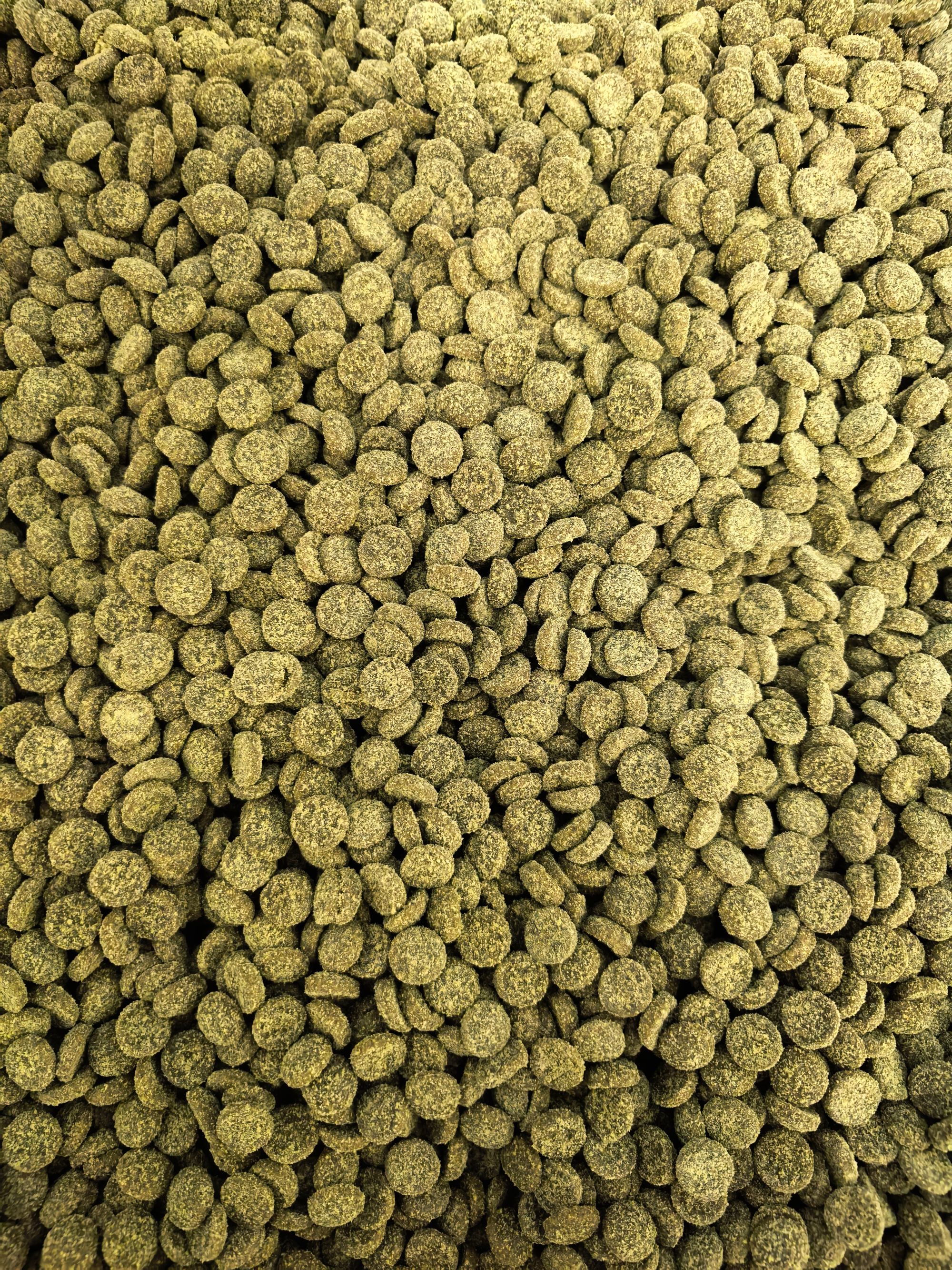 撒欢萌主撒欢萌主双拼宠物粮狗粮犬粮特价救助粮高端定制狗粮