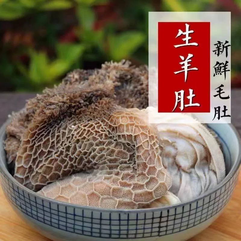 正宗内蒙古草原新鲜羊肚冷链温控发货