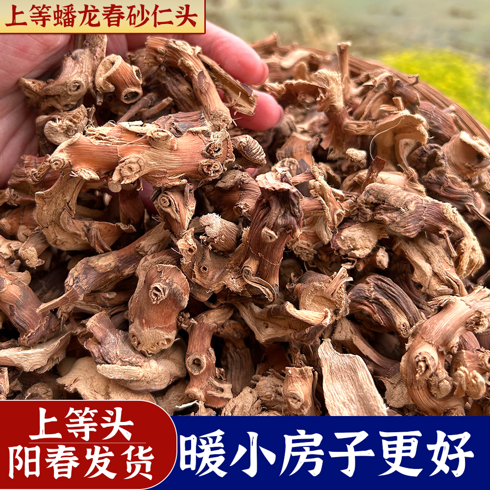 正宗上等阳春蟠龙春砂仁根头营养滋补孕妈小朋友煲汤阳春产地直发