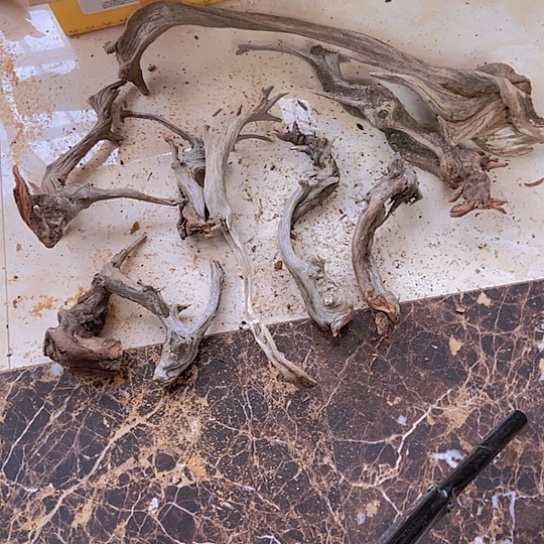 柏木海*9件造型材料疙瘩