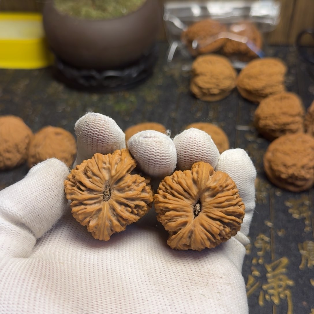 文玩核桃把件用****1文玩核桃