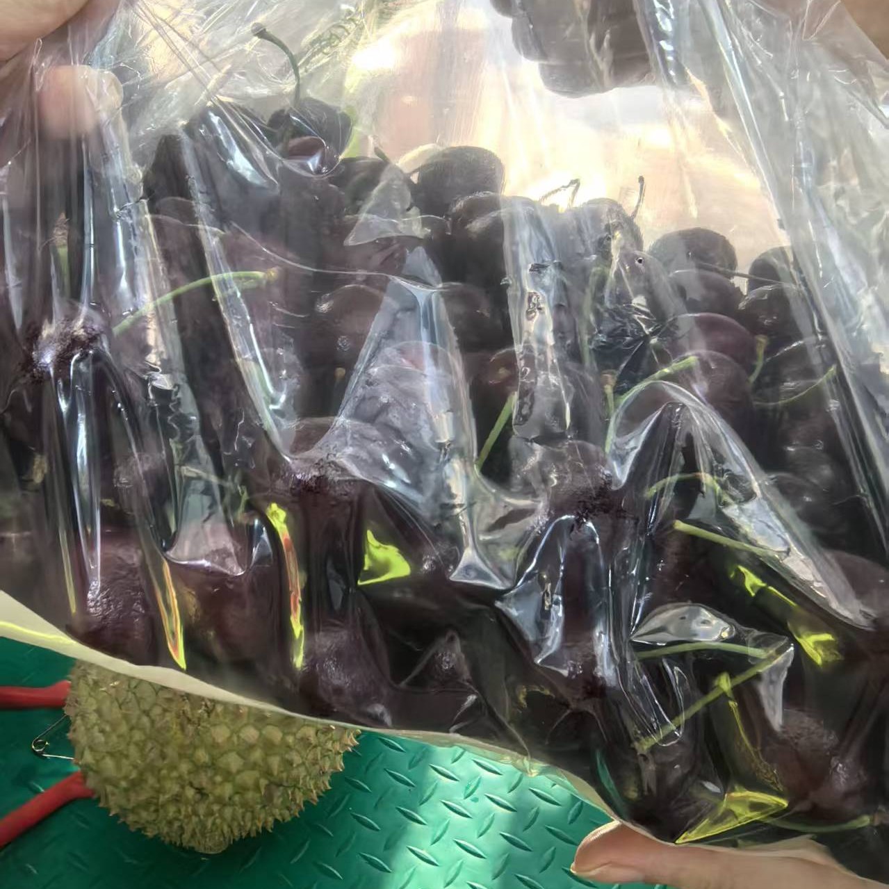 JD桑提纳智利进口海运车厘子水果2.5斤