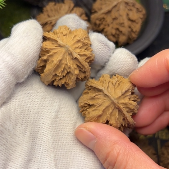 吊坠文玩核桃秦岭核桃3