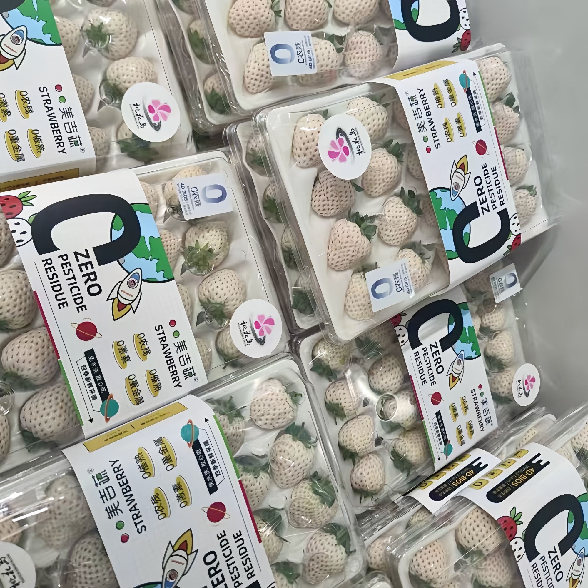 桃花岛零农残白草莓 中果15颗/盒