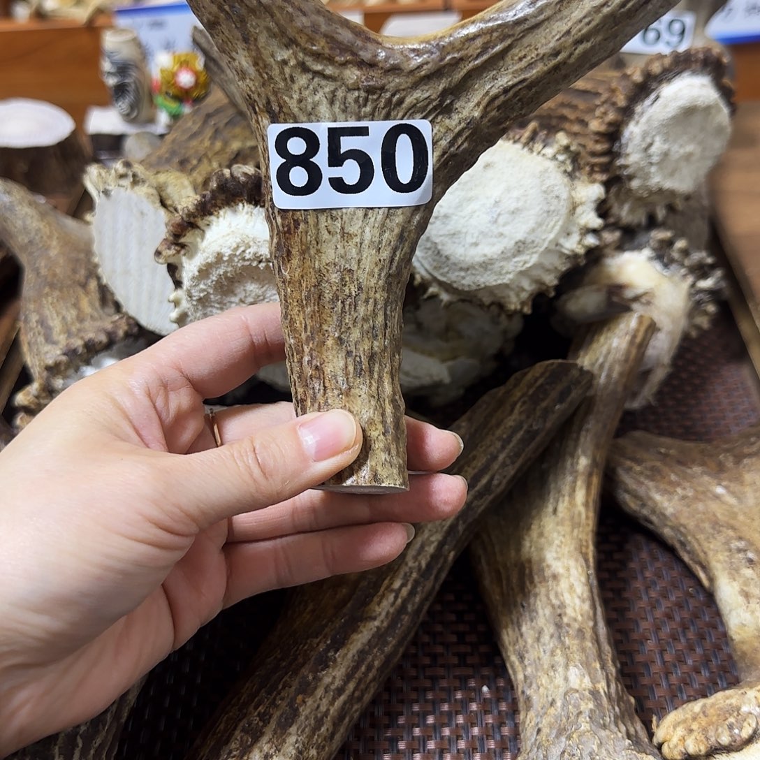 手串/手链鹿骨850弹弓料