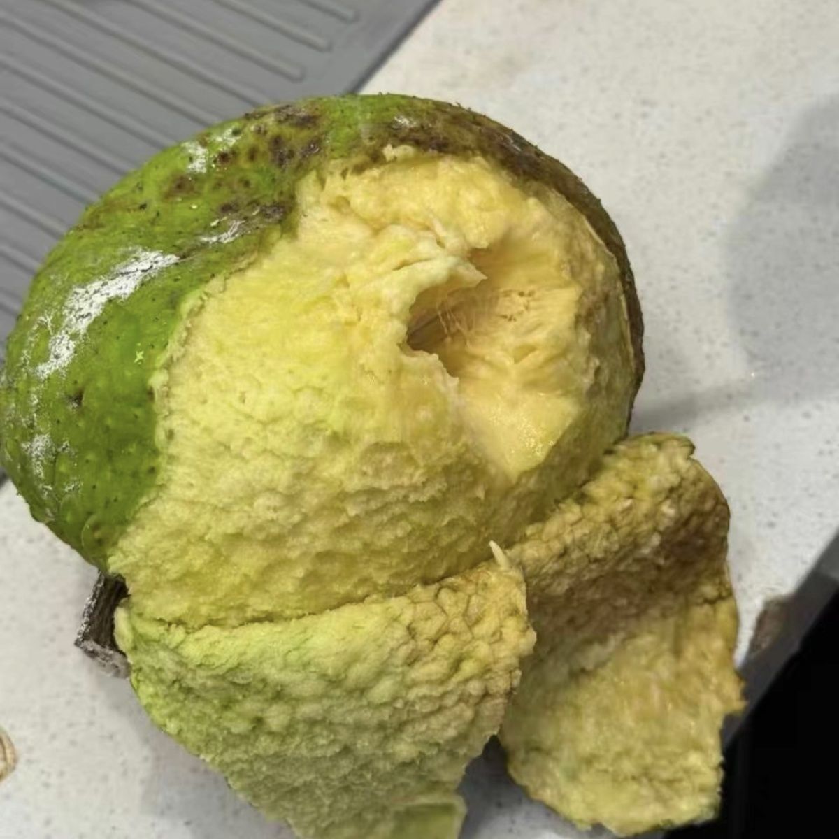 自家果园种植的面包果,现摘现卖!果重1.3-1.8斤左右随机发货爆款