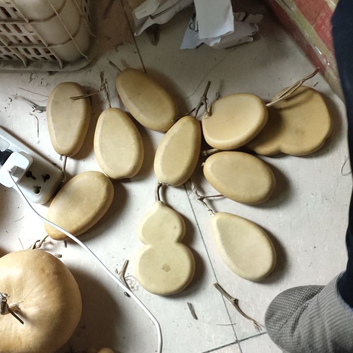 烙***达天然葫芦10扁葫芦