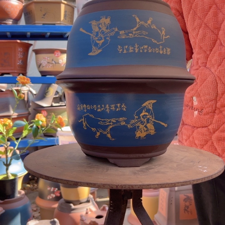 3 +30蓝放牛娃三角金钟花盆