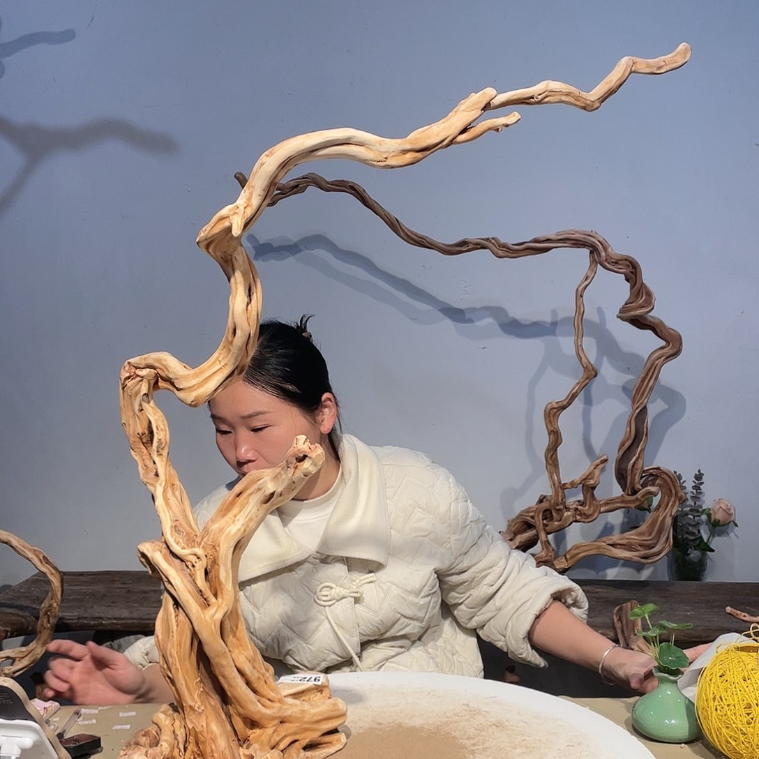 核桃木/黑胡桃（胡桃木）恒**观