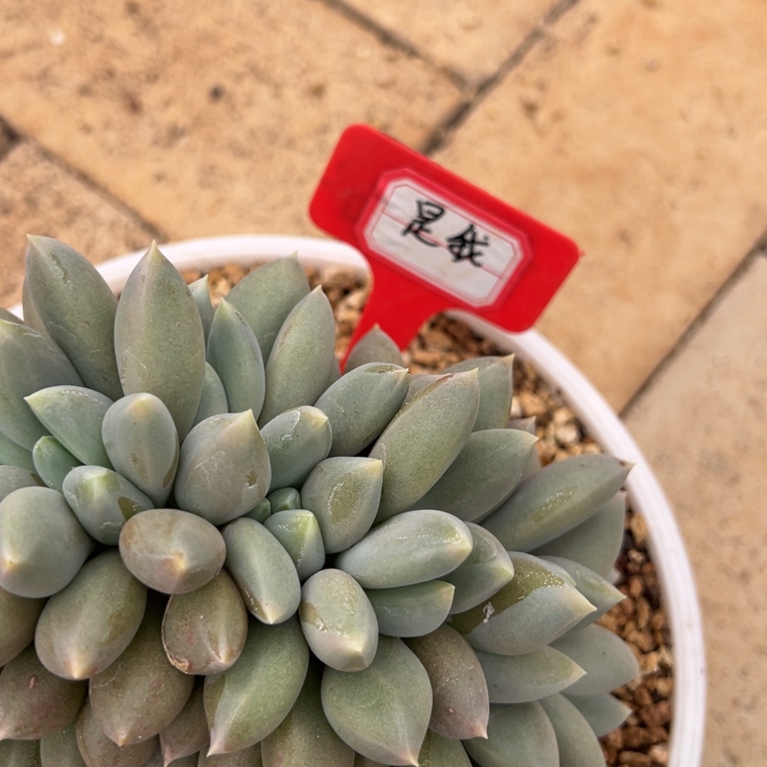 是***、是我158。           