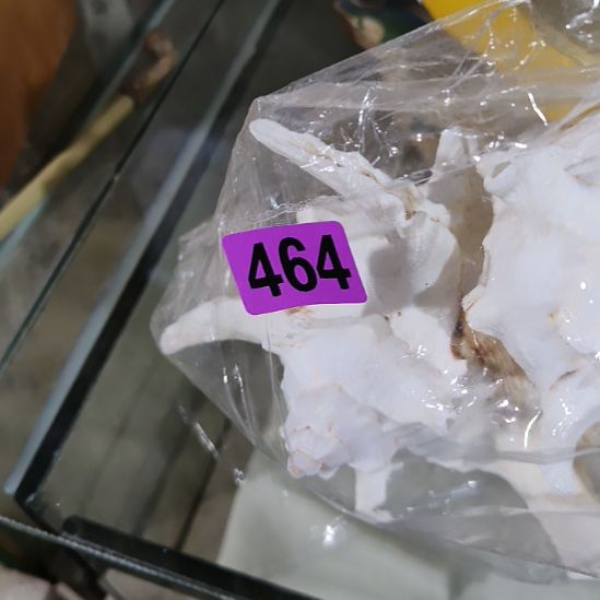 设***置民俗文化研究研究
