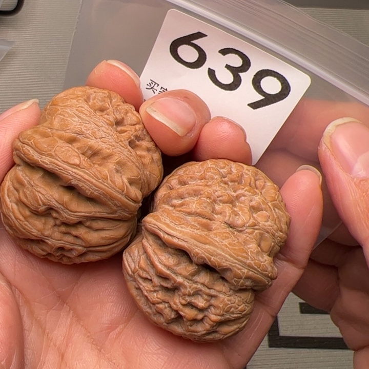 核桃全品43尺元宝639号