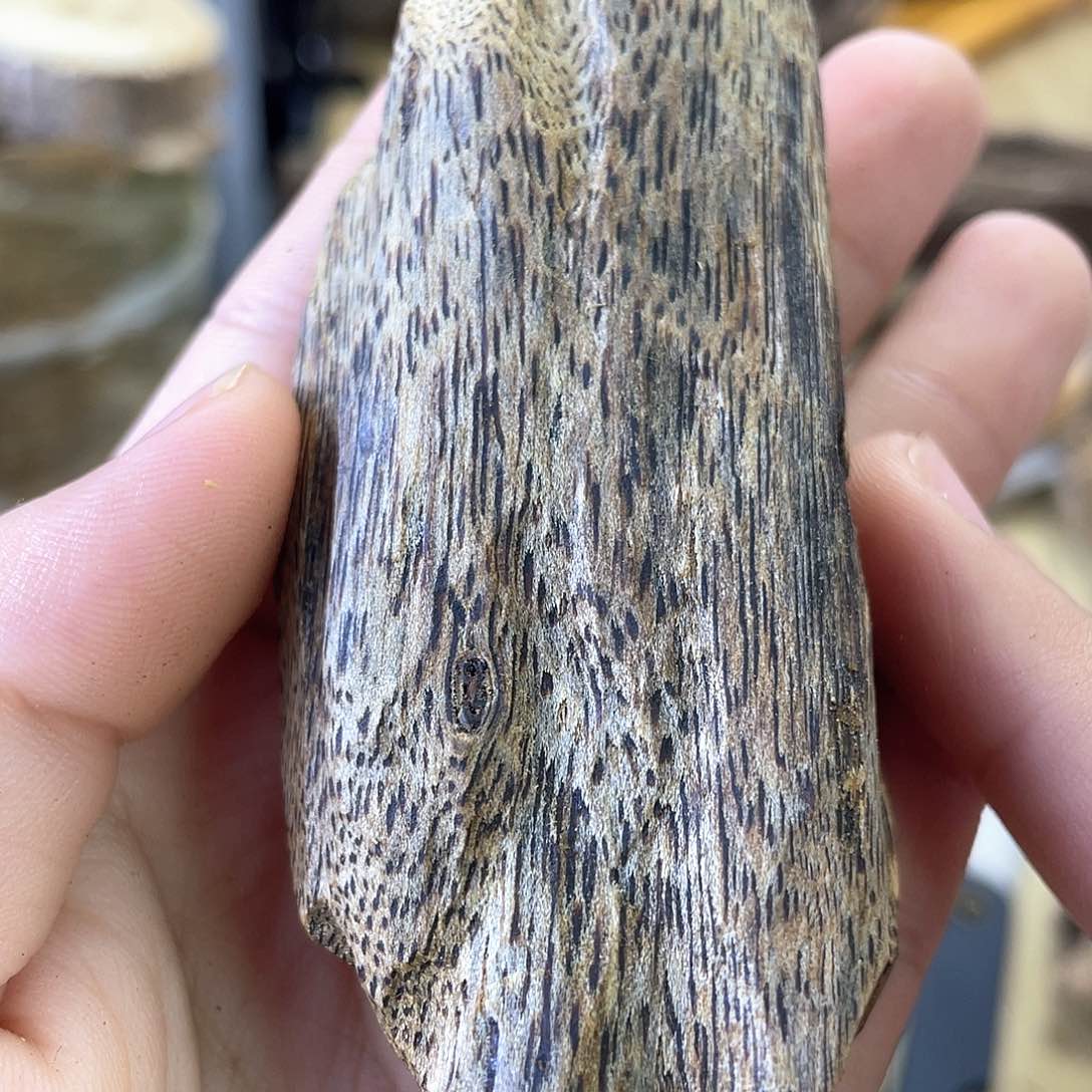 木绿奇楠原材料虫漏29克