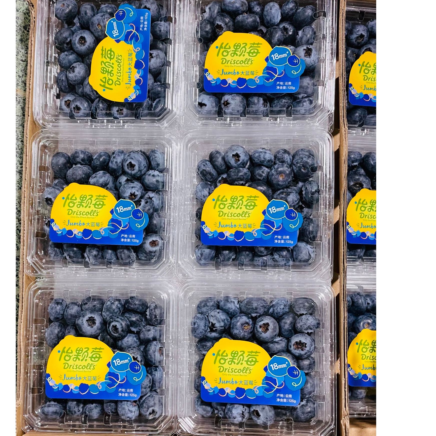 【Yi颗莓 12盒 】爆浆蓝莓！一口一个