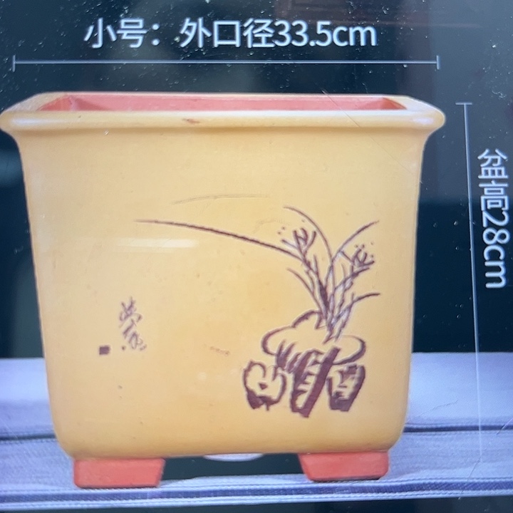 花盆紫砂紫砂花盆