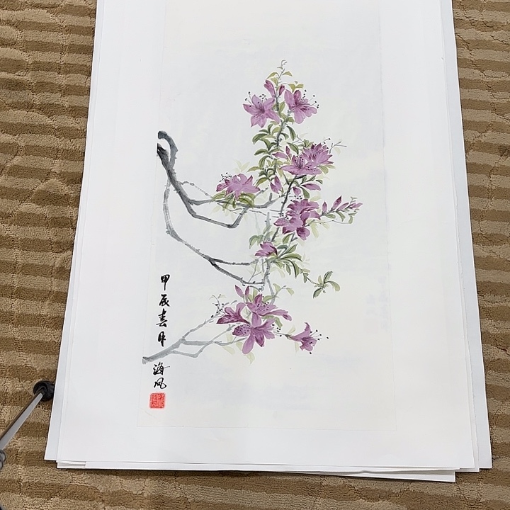 国画花鸟的翅膀和翅膀都