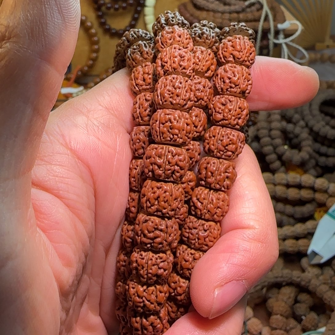 韭***菜金刚菩提吊坠天花板红皮盘龙