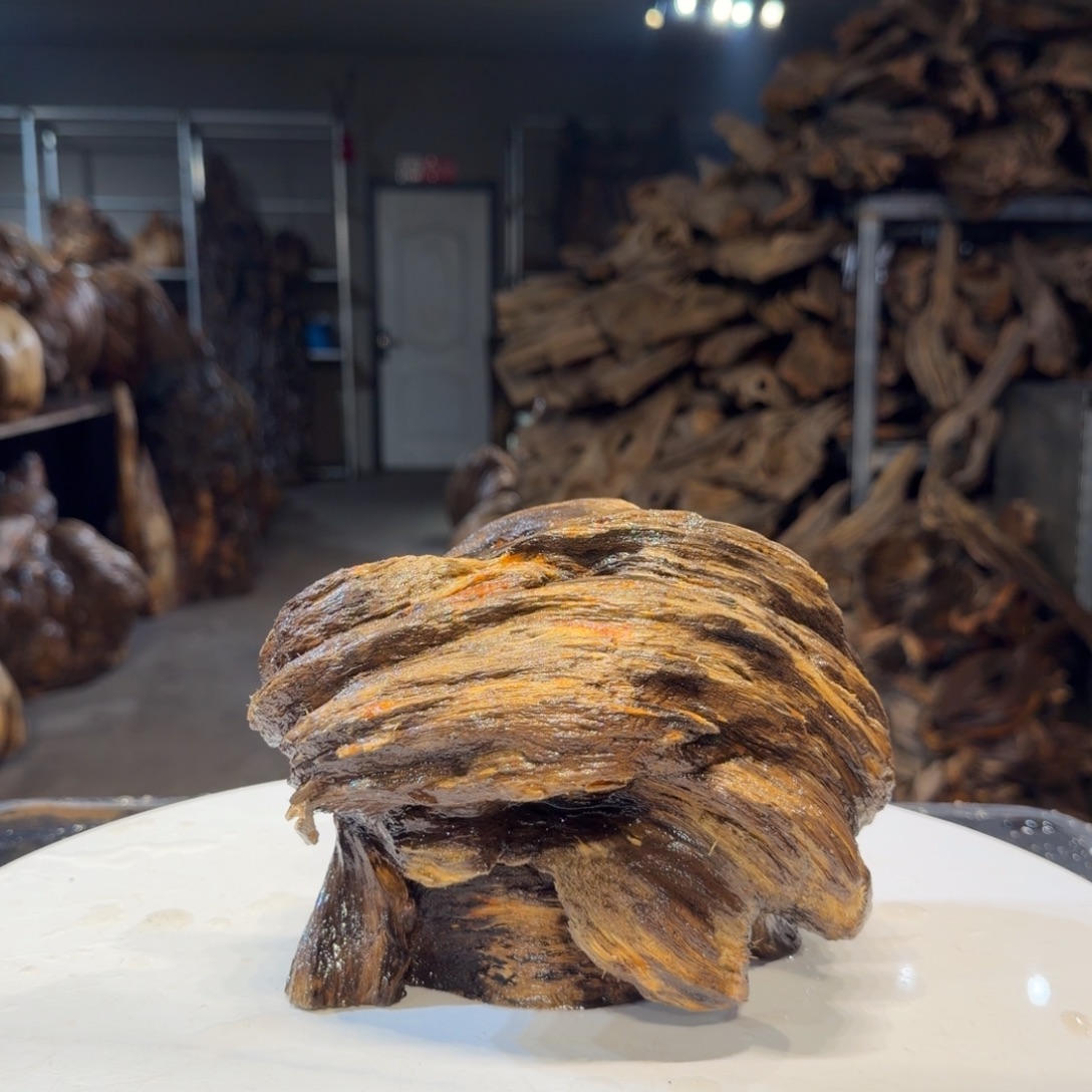 川***店木王一刀琥珀木摆件B49