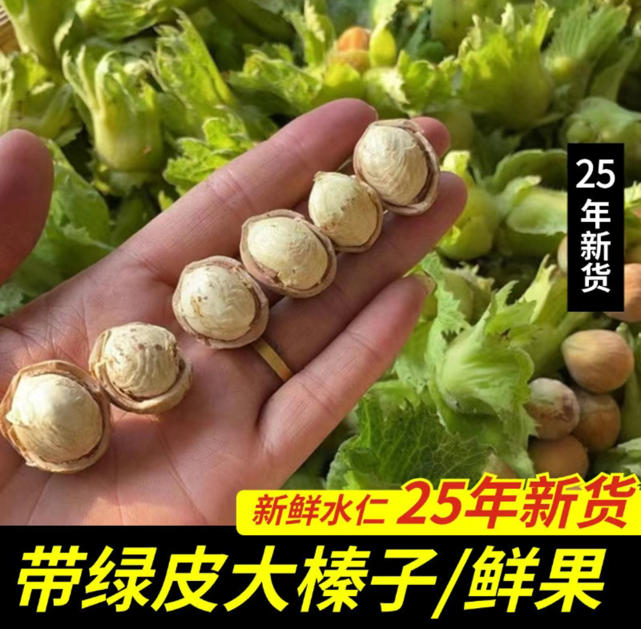 青皮水仁大榛子新鲜带绿皮水瓤新鲜采摘