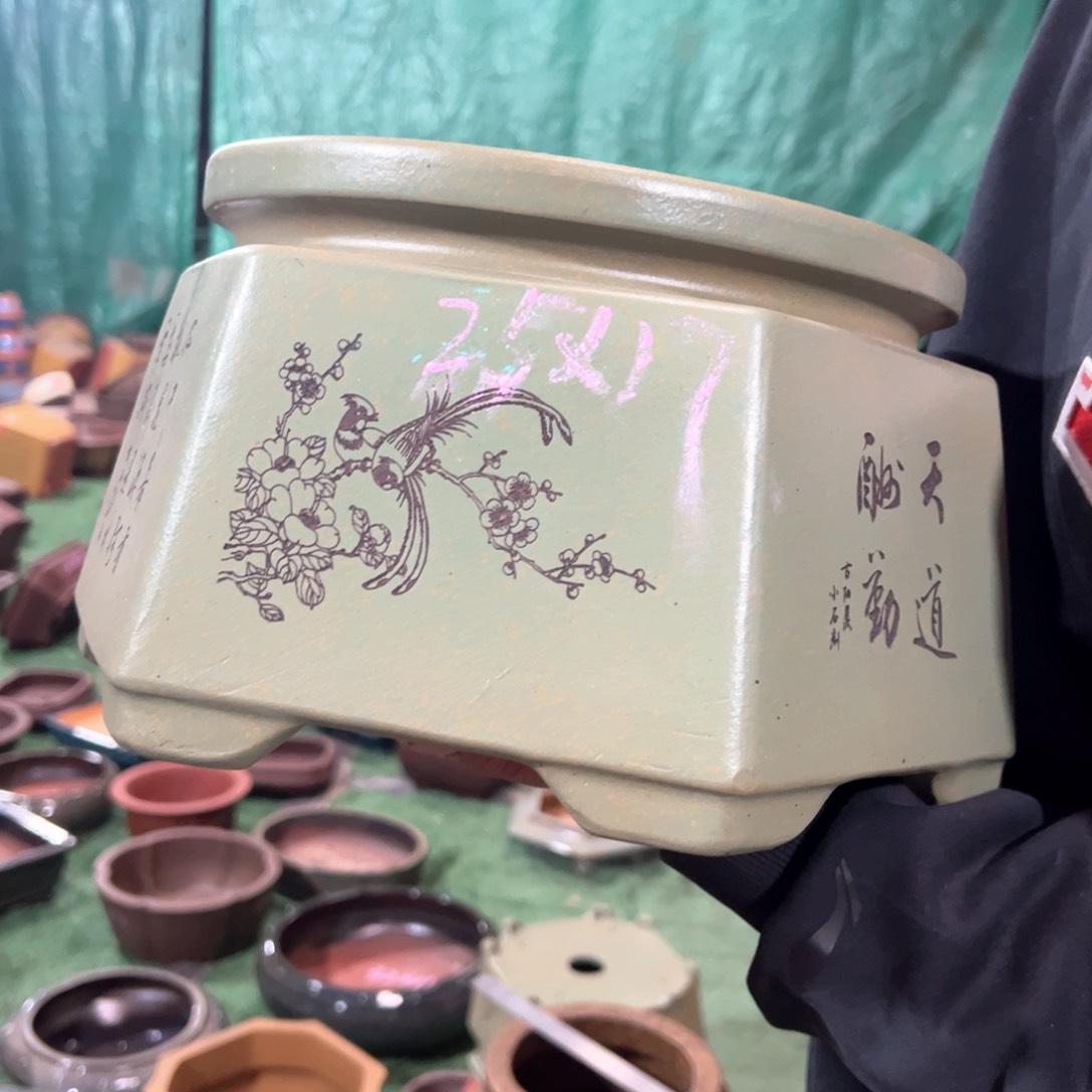 紫砂花盆紫砂花盆