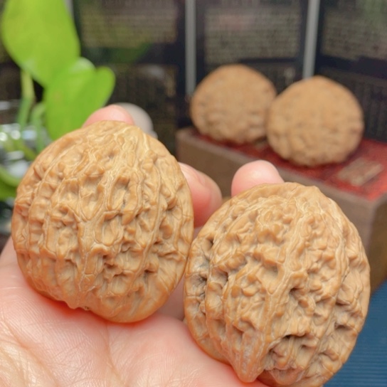 文玩核桃吊坠39全品鸭蛋虎