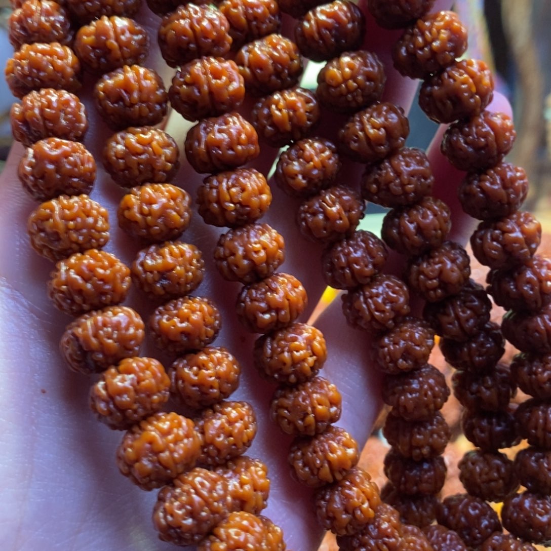 手串金刚菩提10-108树王。5