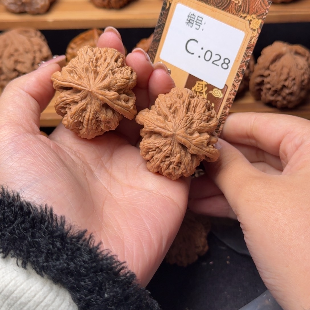 核桃c028粗筋4.3修