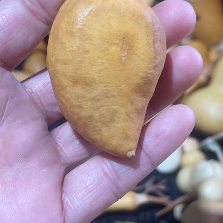 酒***子葫芦哈哈哈哈哈哈哈哈