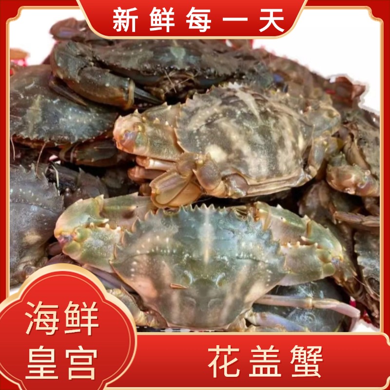 【保鲜不保活】花盖蟹 每只2-5两 每斤2-5只 海鲜皇宫